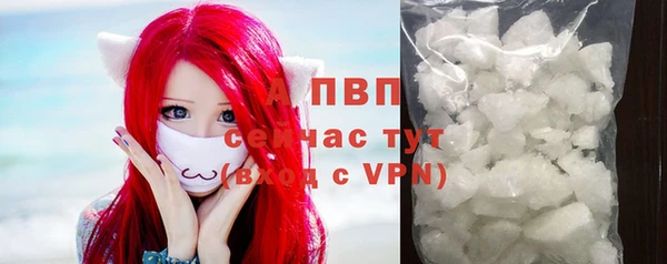 шишки Балабаново