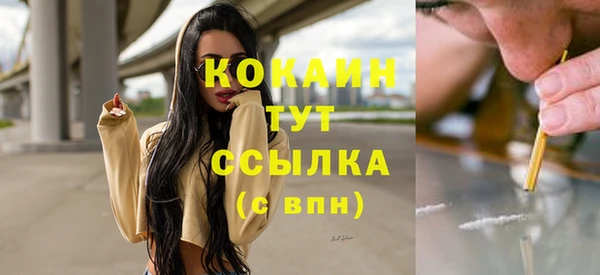 твердый Арсеньев
