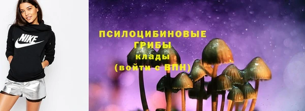 шишки Балабаново