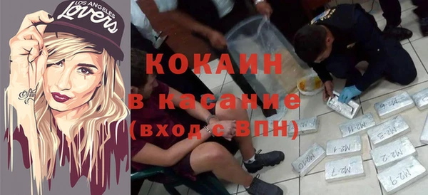 твердый Арсеньев