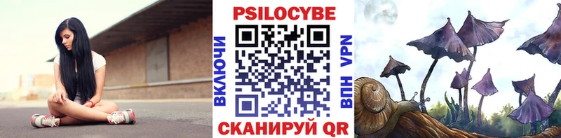 Галлюциногенные грибы прущие грибы  купить закладку  Калач-на-Дону 